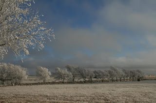 Snow Day-and Then It’s Gone