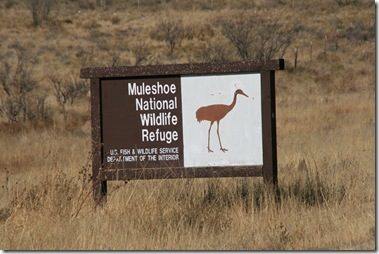 The Oldest Wildlife Refuge in Texas