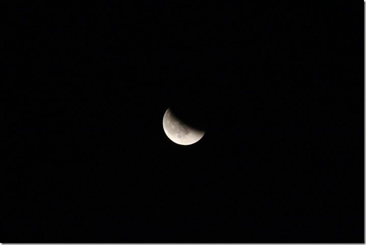 IMG_8701